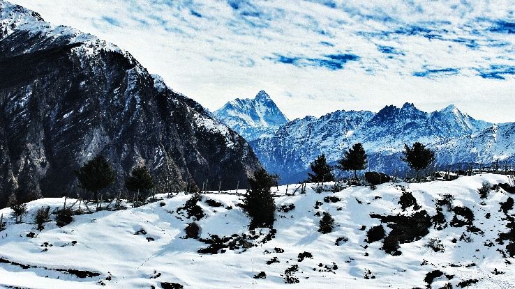 7. Auli